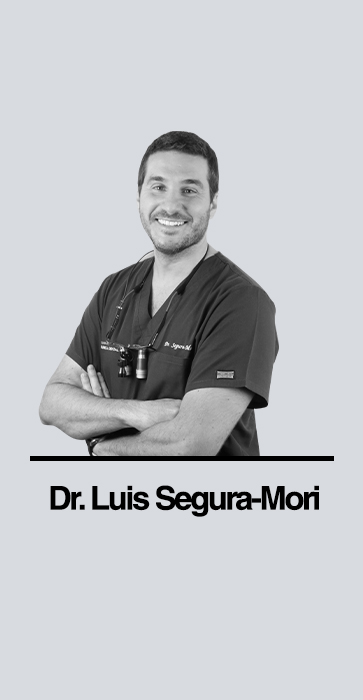 Luis Segura-Mori